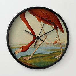American Flamingo by John Audubon (1785 – 1851) Reproduction. Wall Clock