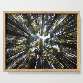 Giant Redwoods Serving Tray