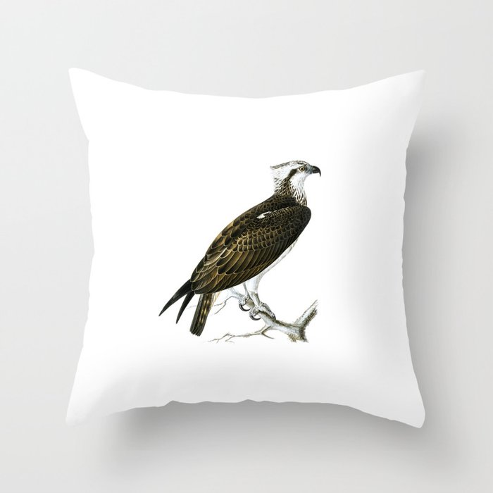 Vintage Osprey Bird Illustration Throw Pillow