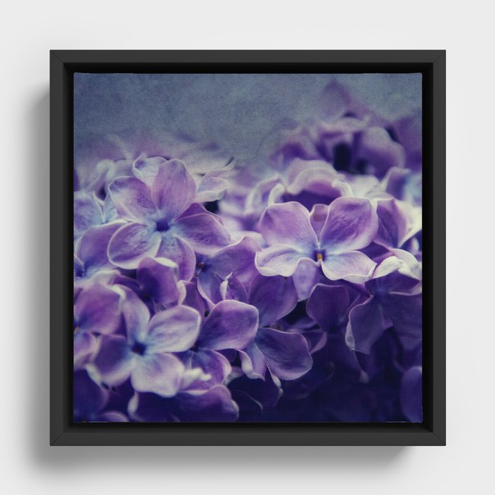lilac Framed Canvas