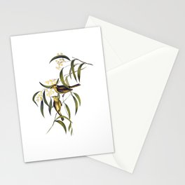 Vintage White Plumed Honeyeater Bird Illustration Stationery Card