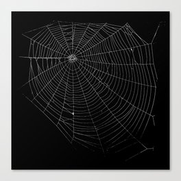 Spiders Web Canvas Print