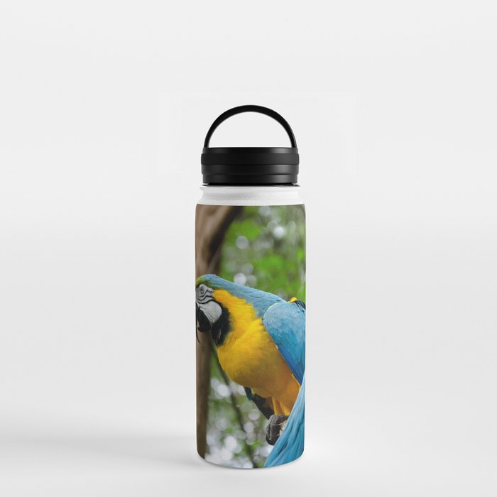 Macaws Water Bottle