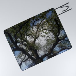 Sky and tree 5 Picnic Blanket