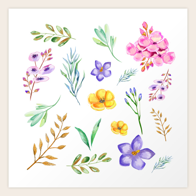 Astrantia Watercolor Floral Style Individual Watercolor Wedding Flowers Clipart Print Design Art Print By Vectortower Society6