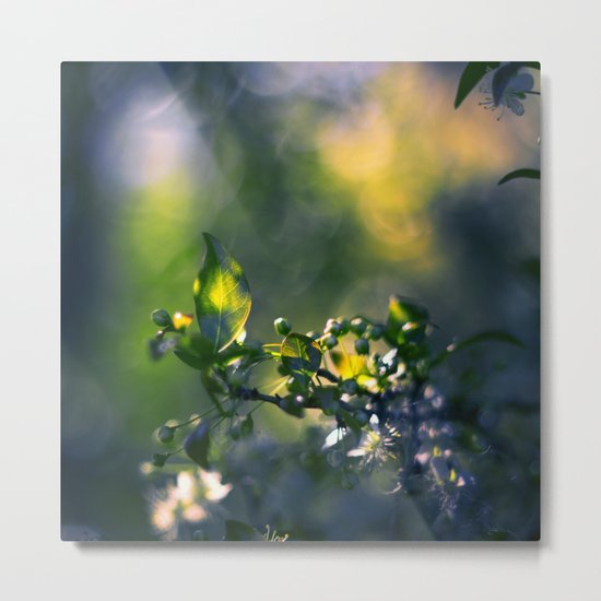 Beneath the Trees Metal Print