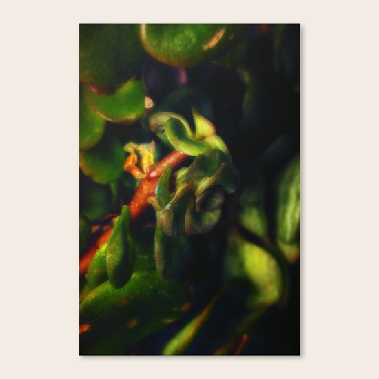 Listen in Canvas Print