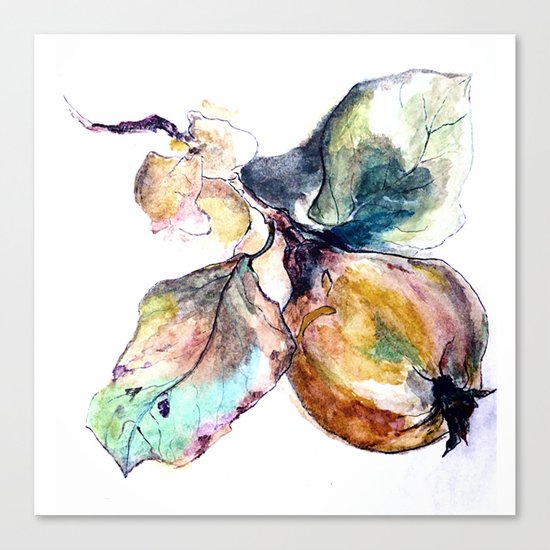 Study of a Pear Canvas Print