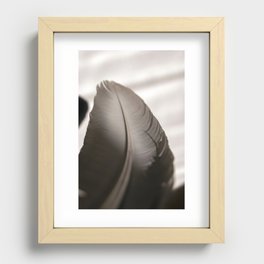 Feather Recessed Framed Print