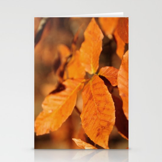 Autumn Leaves Stationery Cards
