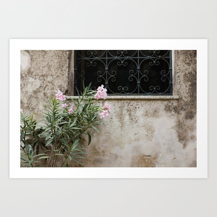 Pink Oleander in Sicily Art Print