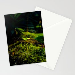 The Little Giant - Manoa Falls, Oahu, Hawaii Stationery Cards