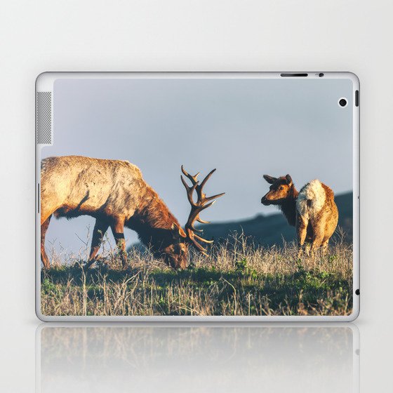 Are You Still Eating Laptop & iPad Skin
