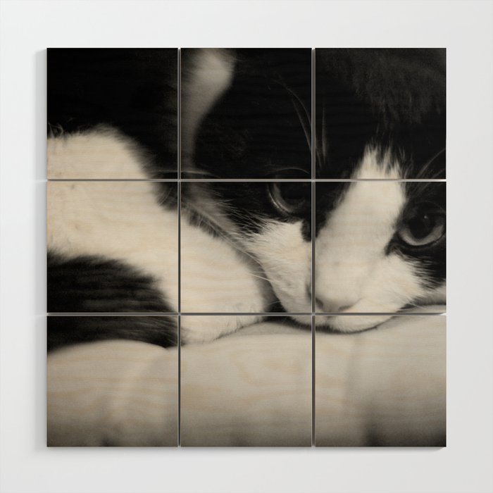 Cat black and white Wood Wall Art