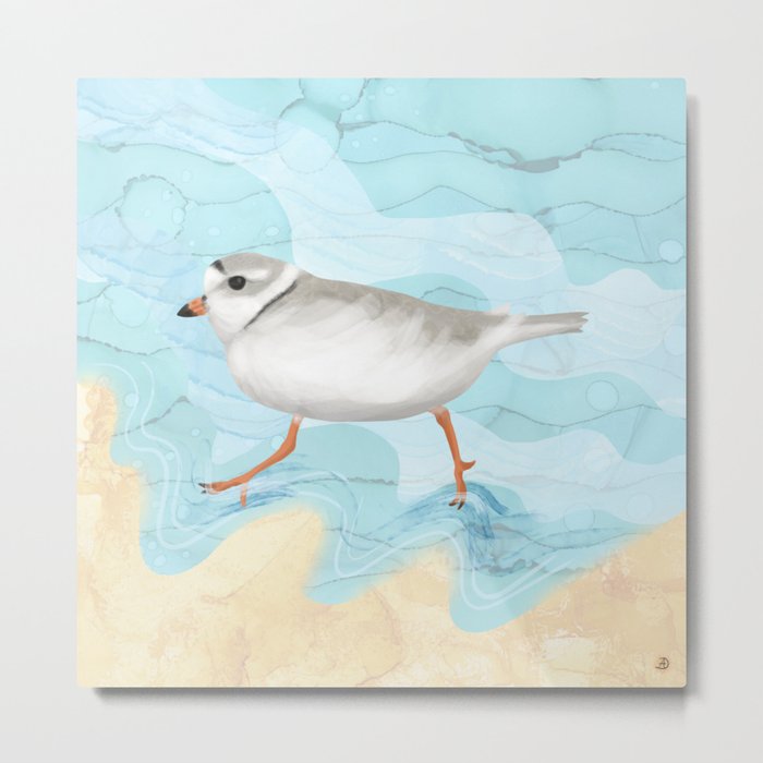 Piping Plover Running on the Beach Metal Print