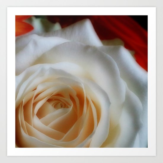 Floral Perfection Art Print