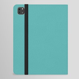 Blue Turquoise Simple Modern Collection iPad Folio Case