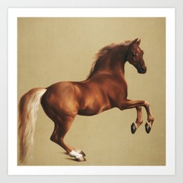George Stubbs Horse Portrait Whistlejacket Painting Art Print Art Print
