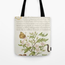 Insect, Hawthorn, Caterpillar, and Filbert from The Model Book of Calligraphy (Bocksay & Hoefnagel) Tote Bag | Antique, Flora, Plant, Calligraphy, Floral, Botany, Painting, Flower, Stilllife, Vintage 