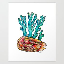 Corals 2 Art Print
