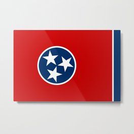 Tennessee State flag Metal Print