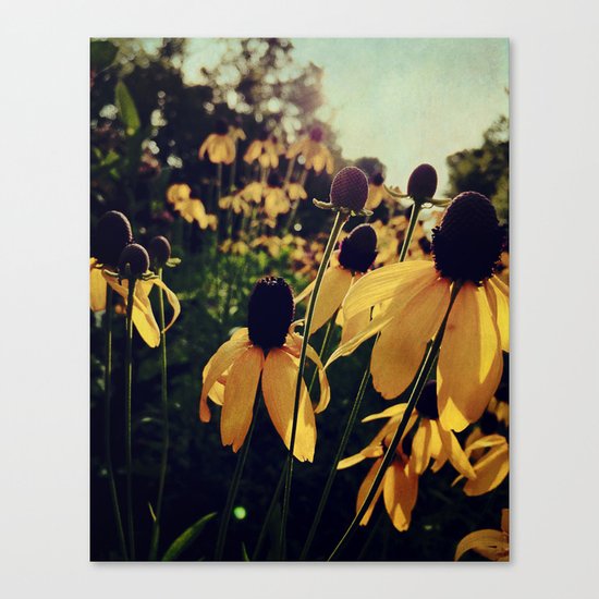 Sunshine and Flowers Canvas Print
