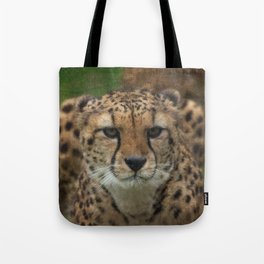 Cheetah Stare Textured Tote Bag