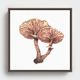 Fungi watercolor - Armillaria gallica Framed Canvas