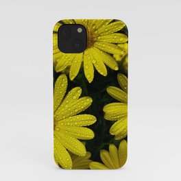 Yellow Flowers After the Misting iPhone Case