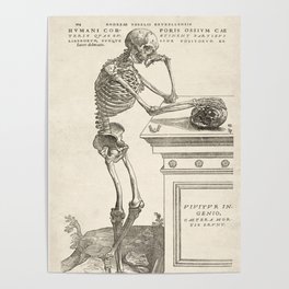 Andreas Vesalius Human Anatomy- Skeleton Contemplating A Skull Poster