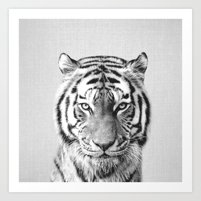 Tiger - Black & White Art Print