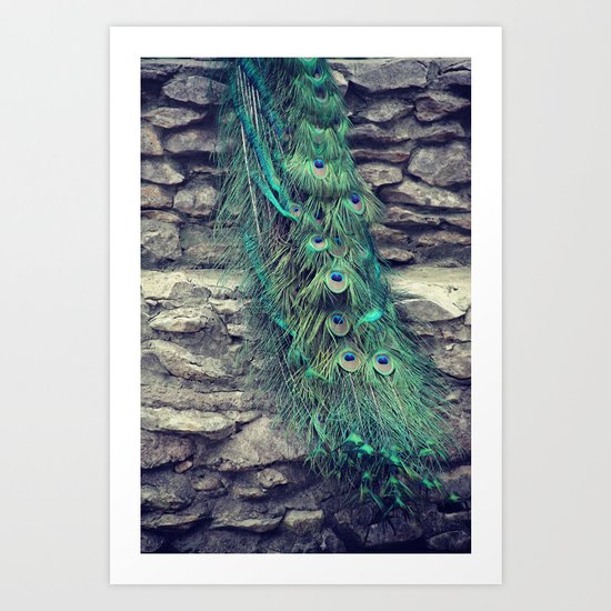 Peacock Art Print