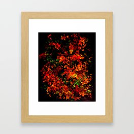 Red leaves of Fall Shining in the Rain Framed Art Print