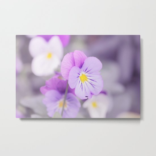 Dreams Do Come True Metal Print