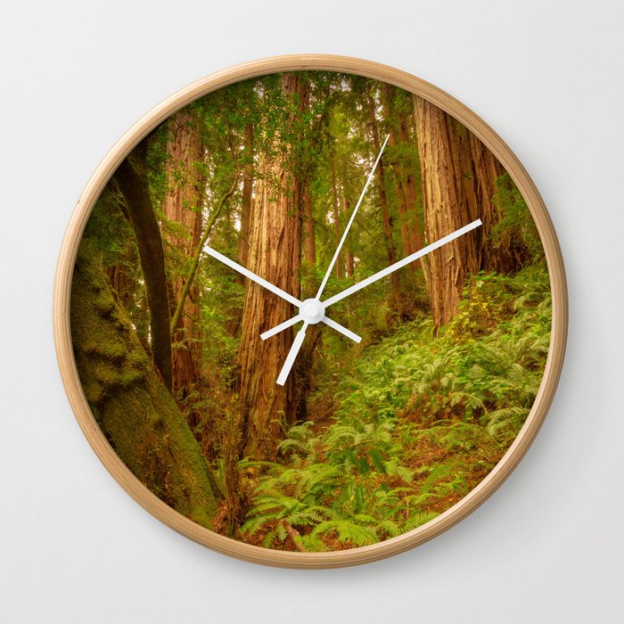 Redwoods Regional II Wall Clock