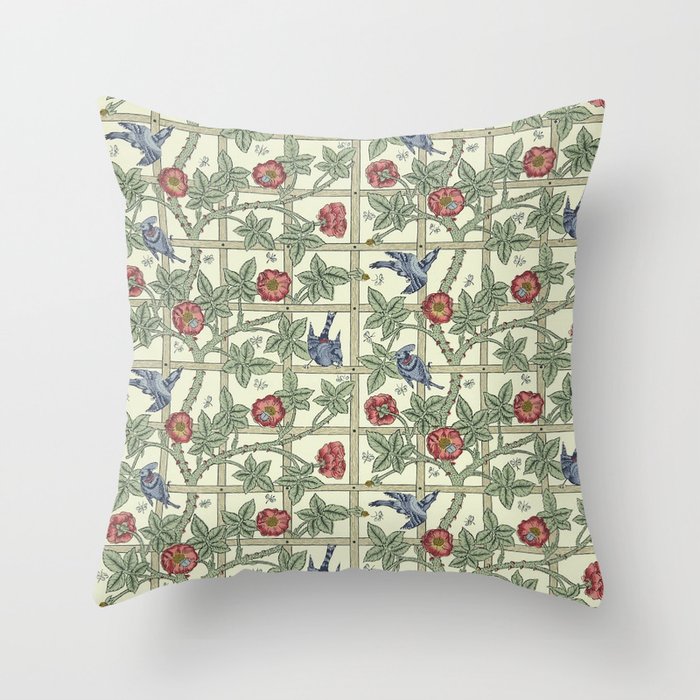Throw Pillow