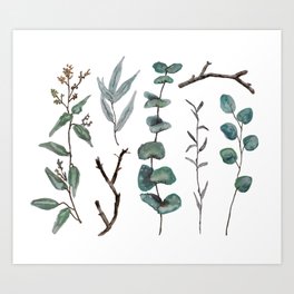 Eucalyptus Pattern Art Print