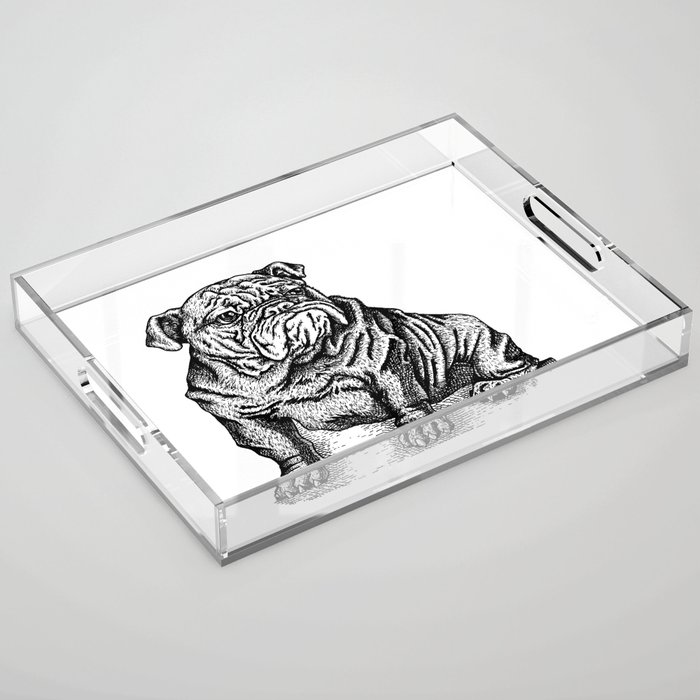 Sapphorica Creations- Philip the Bulldog Acrylic Tray