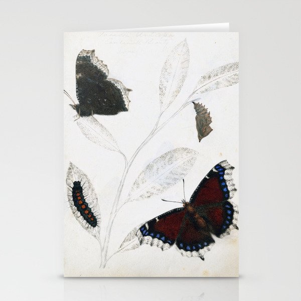 Butterfly metamorphosis by Philip Henry Gosse, 1833  Stationery Cards