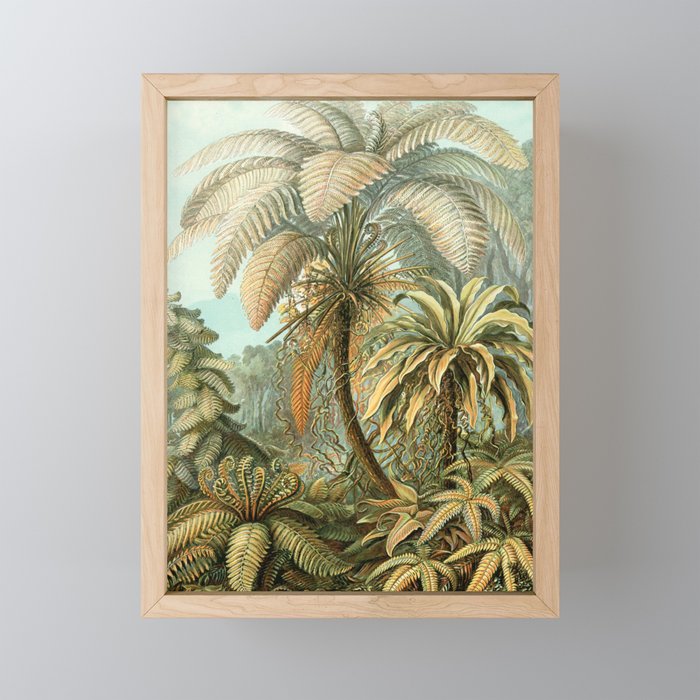 Vintage Tropical Palm Framed Mini Art Print