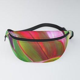 Nice Curves Fanny Pack