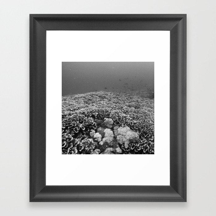 Coral Framed Art Print