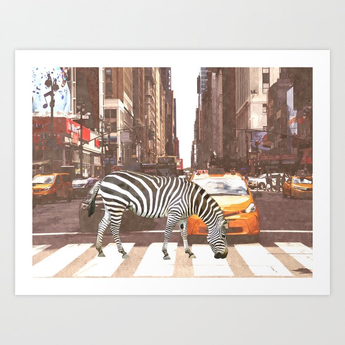 Zebra in New York City Art Print