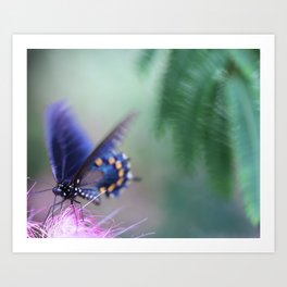 Butterfly's Delightful Descent Art Print