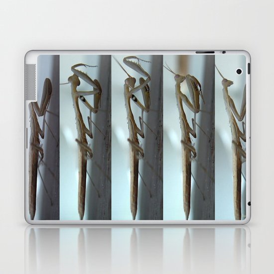White Praying Mantis Laptop & iPad Skin
