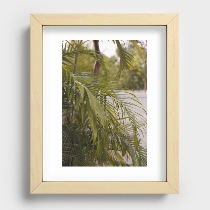 Palm trees | Fine Art photography print Recessed Framed Print