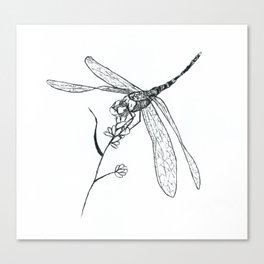 Dragonfly quick sketch Canvas Print