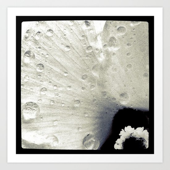 FLOWER 019 Art Print