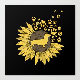 Sunflower with paws and dachshund Canvas Print