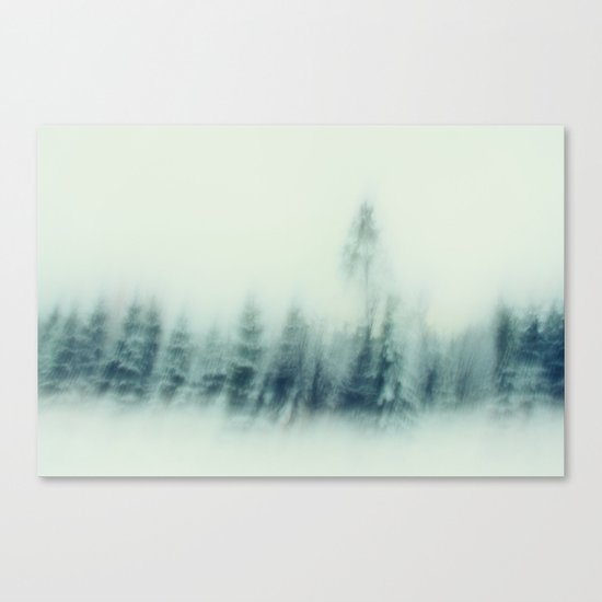cold winter woods Canvas Print